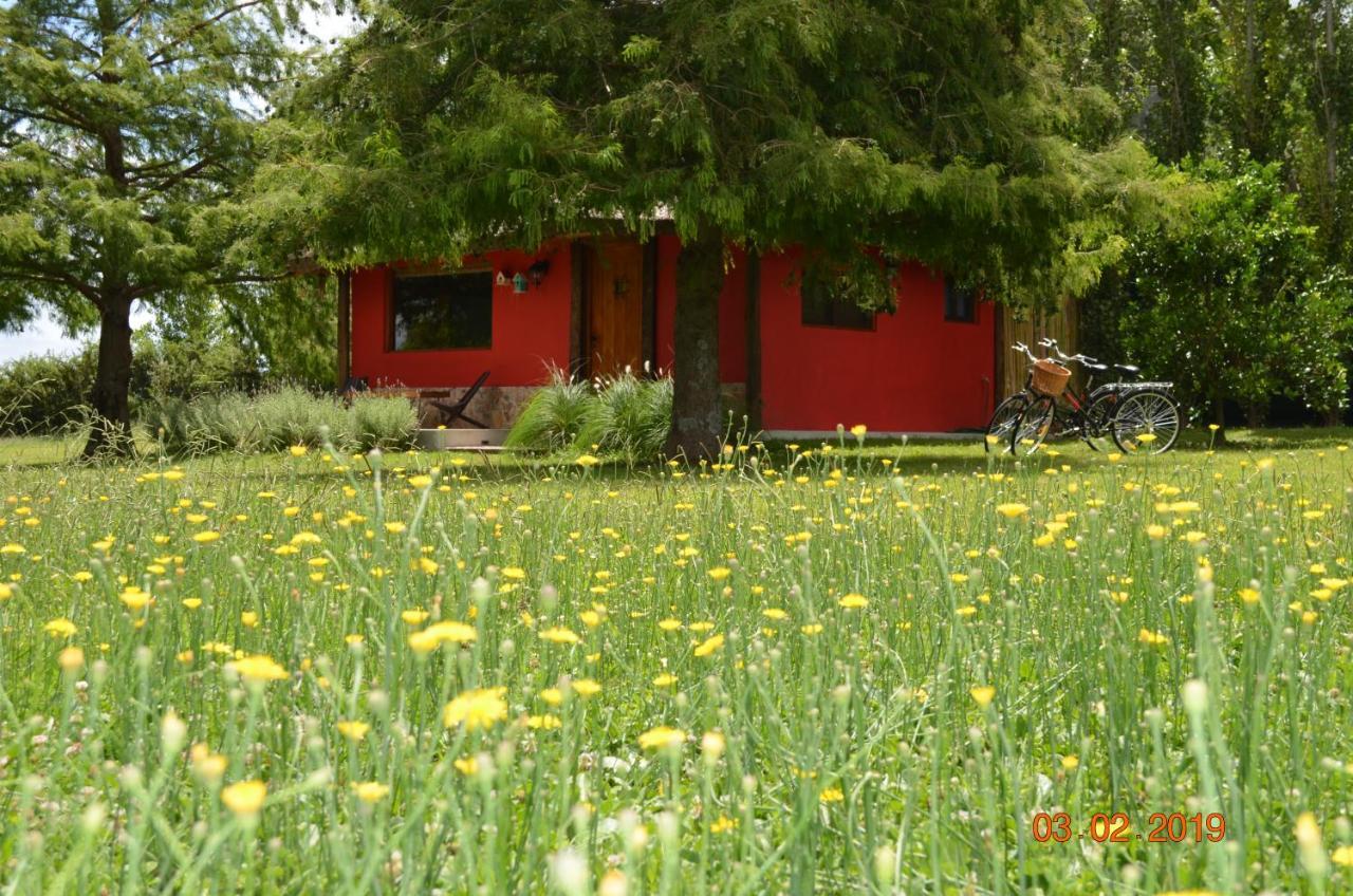 Villa Cabana La Toscana Carmelo Exterior foto